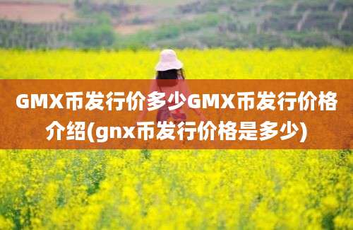 GMX币发行价多少GMX币发行价格介绍(gnx币发行价格是多少)