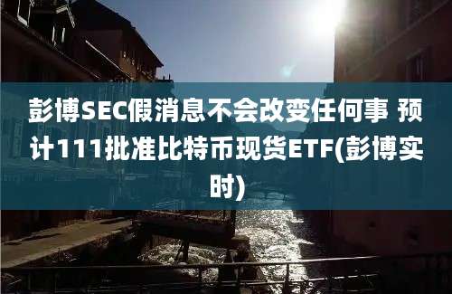 彭博SEC假消息不会改变任何事 预计111批准比特币现货ETF(彭博实时)