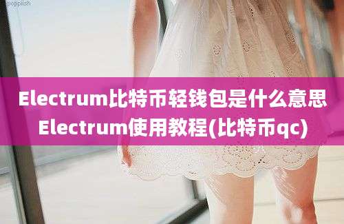 Electrum比特币轻钱包是什么意思Electrum使用教程(比特币qc)