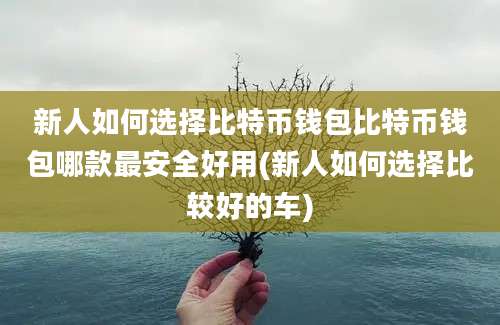 新人如何选择比特币钱包比特币钱包哪款最安全好用(新人如何选择比较好的车)