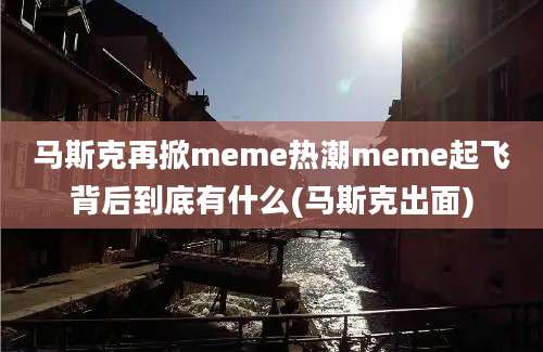 马斯克再掀meme热潮meme起飞背后到底有什么(马斯克出面)