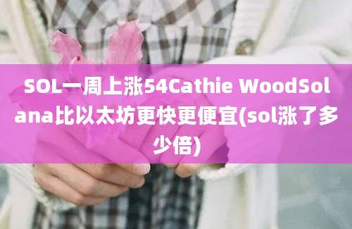 SOL一周上涨54Cathie WoodSolana比以太坊更快更便宜(sol涨了多少倍)