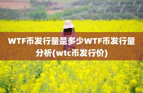 WTF币发行量是多少WTF币发行量分析(wtc币发行价)