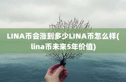 LINA币会涨到多少LINA币怎么样(lina币未来5年价值)