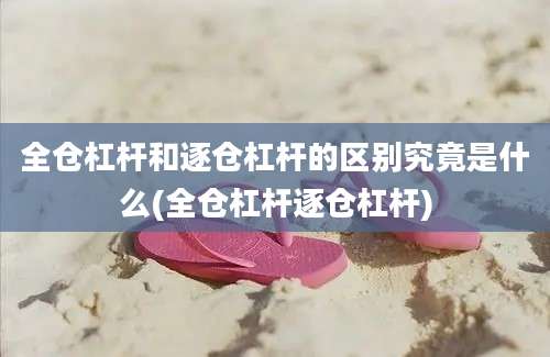 全仓杠杆和逐仓杠杆的区别究竟是什么(全仓杠杆逐仓杠杆)