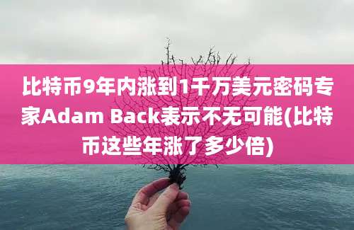 比特币9年内涨到1千万美元密码专家Adam Back表示不无可能(比特币这些年涨了多少倍)