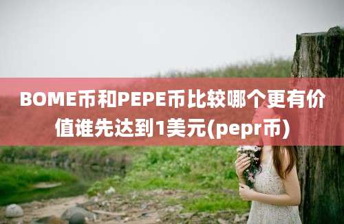 BOME币和PEPE币比较哪个更有价值谁先达到1美元(pepr币)