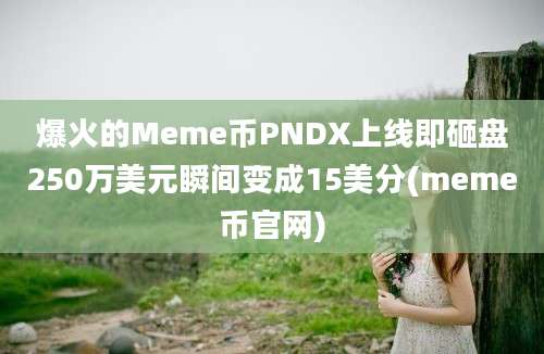 爆火的Meme币PNDX上线即砸盘250万美元瞬间变成15美分(meme币官网)