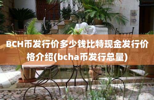 BCH币发行价多少钱比特现金发行价格介绍(bcha币发行总量)