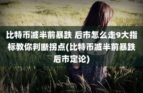 比特币减半前暴跌 后市怎么走9大指标教你判断拐点(比特币减半前暴跌后市定论)