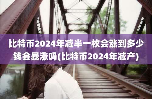 比特币2024年减半一枚会涨到多少钱会暴涨吗(比特币2024年减产)