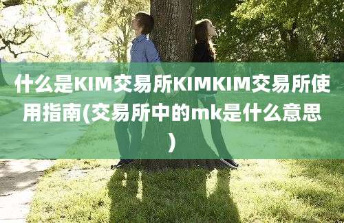 什么是KIM交易所KIMKIM交易所使用指南(交易所中的mk是什么意思)