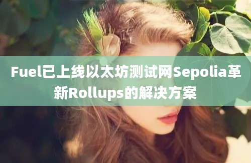 Fuel已上线以太坊测试网Sepolia革新Rollups的解决方案