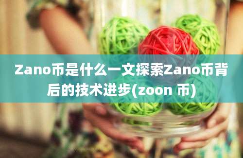 Zano币是什么一文探索Zano币背后的技术进步(zoon 币)