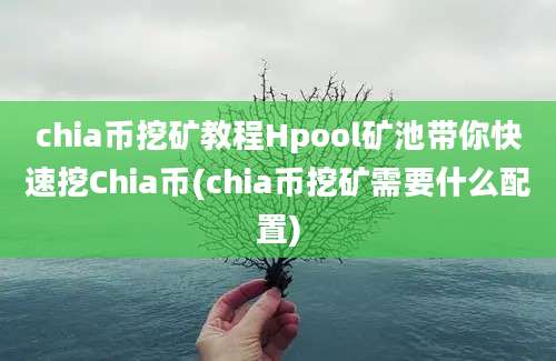 chia币挖矿教程Hpool矿池带你快速挖Chia币(chia币挖矿需要什么配置)