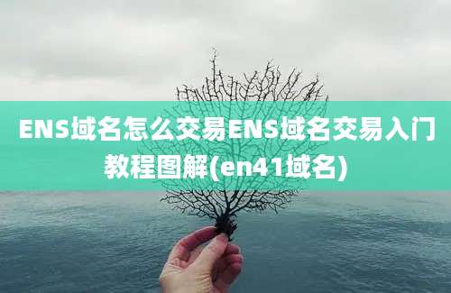 ENS域名怎么交易ENS域名交易入门教程图解(en41域名)