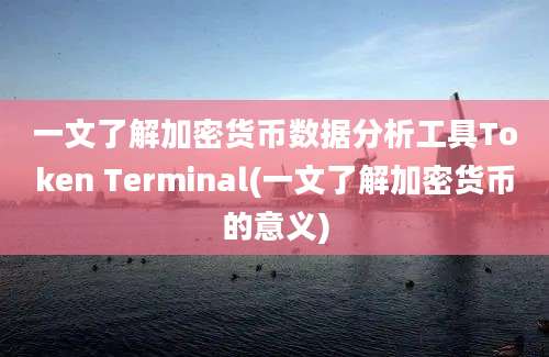 一文了解加密货币数据分析工具Token Terminal(一文了解加密货币的意义)