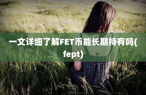 一文详细了解FET币能长期持有吗(fept)