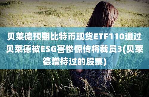 贝莱德预期比特币现货ETF110通过贝莱德被ESG害惨惊传将裁员3(贝莱德增持过的股票)