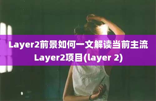 Layer2前景如何一文解读当前主流Layer2项目(layer 2)