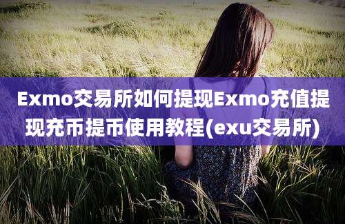 Exmo交易所如何提现Exmo充值提现充币提币使用教程(exu交易所)