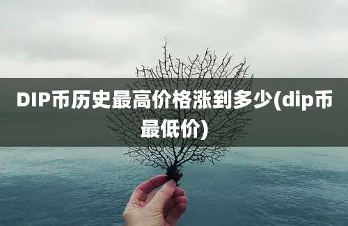 DIP币历史最高价格涨到多少(dip币最低价)