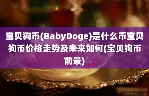 宝贝狗币(BabyDoge)是什么币宝贝狗币价格走势及未来如何(宝贝狗币前景)