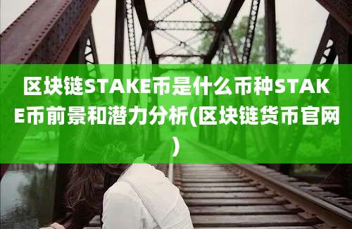 区块链STAKE币是什么币种STAKE币前景和潜力分析(区块链货币官网)