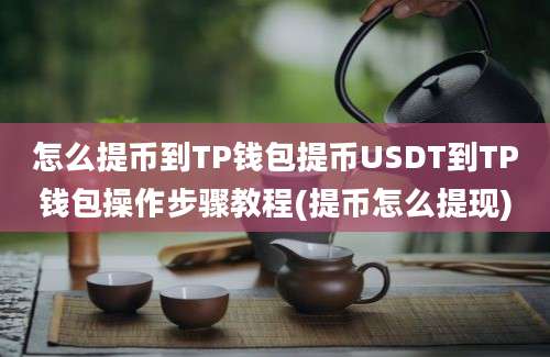 怎么提币到TP钱包提币USDT到TP钱包操作步骤教程(提币怎么提现)