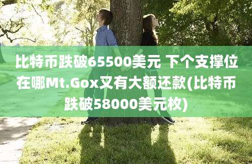 比特币跌破65500美元 下个支撑位在哪Mt.Gox又有大额还款(比特币跌破58000美元枚)