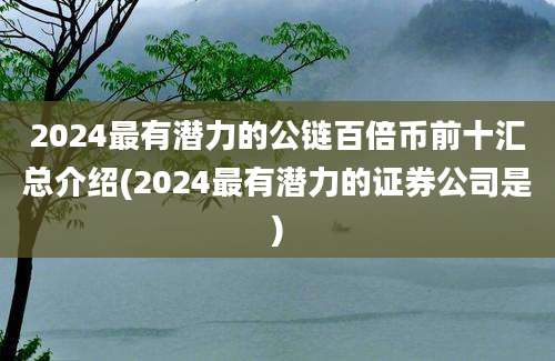 2024最有潜力的公链百倍币前十汇总介绍(2024最有潜力的证券公司是)