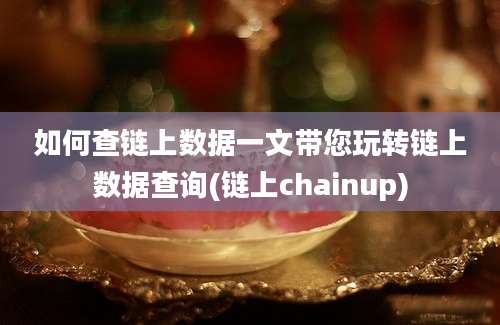 如何查链上数据一文带您玩转链上数据查询(链上chainup)