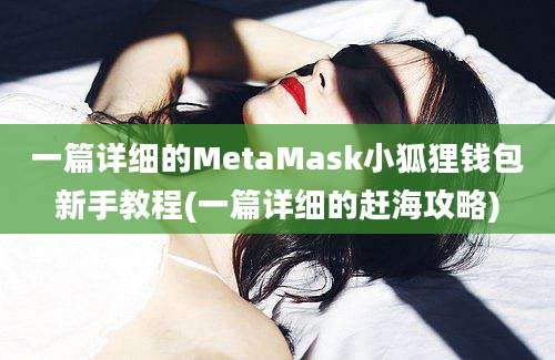 一篇详细的MetaMask小狐狸钱包新手教程(一篇详细的赶海攻略)