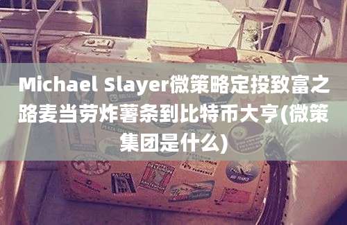 Michael Slayer微策略定投致富之路麦当劳炸薯条到比特币大亨(微策集团是什么)