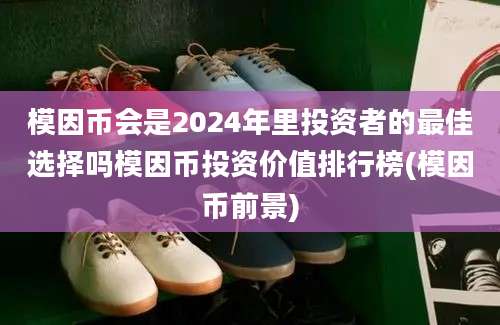 模因币会是2024年里投资者的最佳选择吗模因币投资价值排行榜(模因币前景)