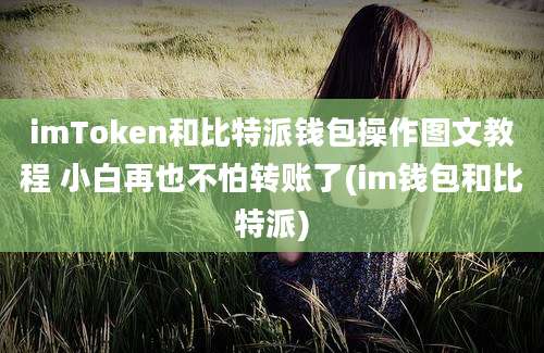 imToken和比特派钱包操作图文教程 小白再也不怕转账了(im钱包和比特派)