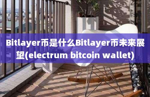 Bitlayer币是什么Bitlayer币未来展望(electrum bitcoin wallet)