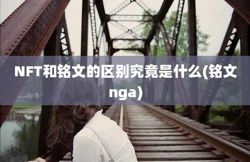 NFT和铭文的区别究竟是什么(铭文nga)