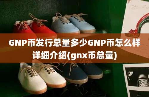 GNP币发行总量多少GNP币怎么样详细介绍(gnx币总量)