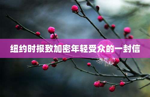 纽约时报致加密年轻受众的一封信