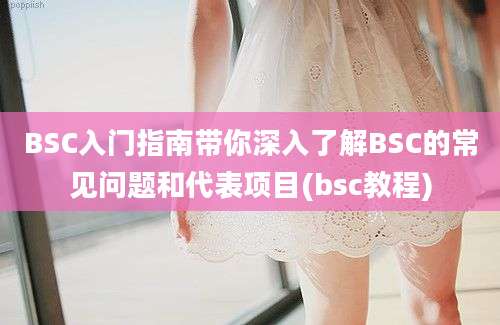 BSC入门指南带你深入了解BSC的常见问题和代表项目(bsc教程)