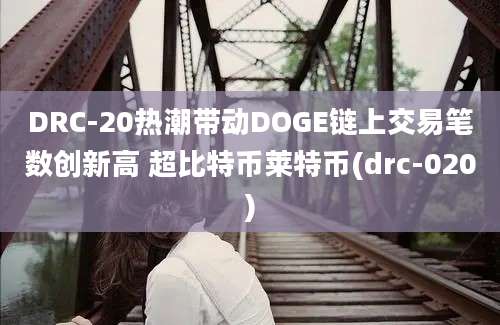 DRC-20热潮带动DOGE链上交易笔数创新高 超比特币莱特币(drc-020)