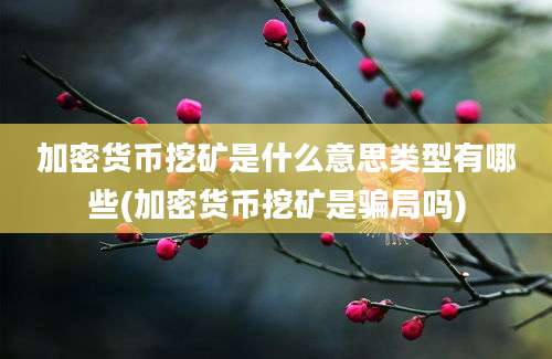 加密货币挖矿是什么意思类型有哪些(加密货币挖矿是骗局吗)