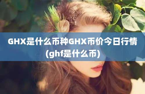 GHX是什么币种GHX币价今日行情(ghf是什么币)