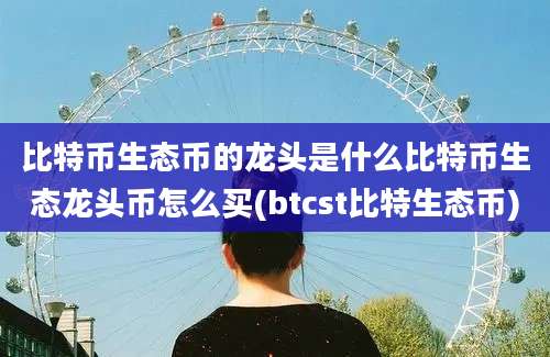 比特币生态币的龙头是什么比特币生态龙头币怎么买(btcst比特生态币)