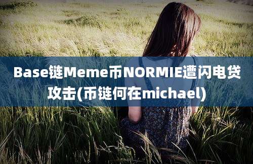 Base链Meme币NORMIE遭闪电贷攻击(币链何在michael)