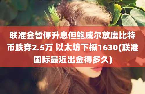 联准会暂停升息但鲍威尔放鹰比特币跌穿2.5万 以太坊下探1630(联准国际最近出金得多久)