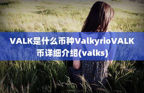 VALK是什么币种ValkyrioVALK币详细介绍(valks)