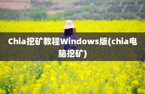 Chia挖矿教程Windows版(chia电脑挖矿)