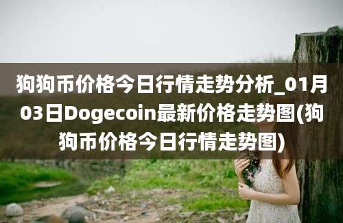 狗狗币价格今日行情走势分析_01月03日Dogecoin最新价格走势图(狗狗币价格今日行情走势图)